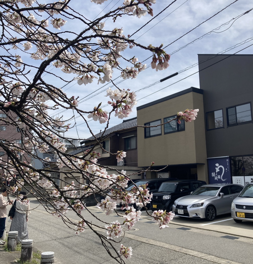 富山店